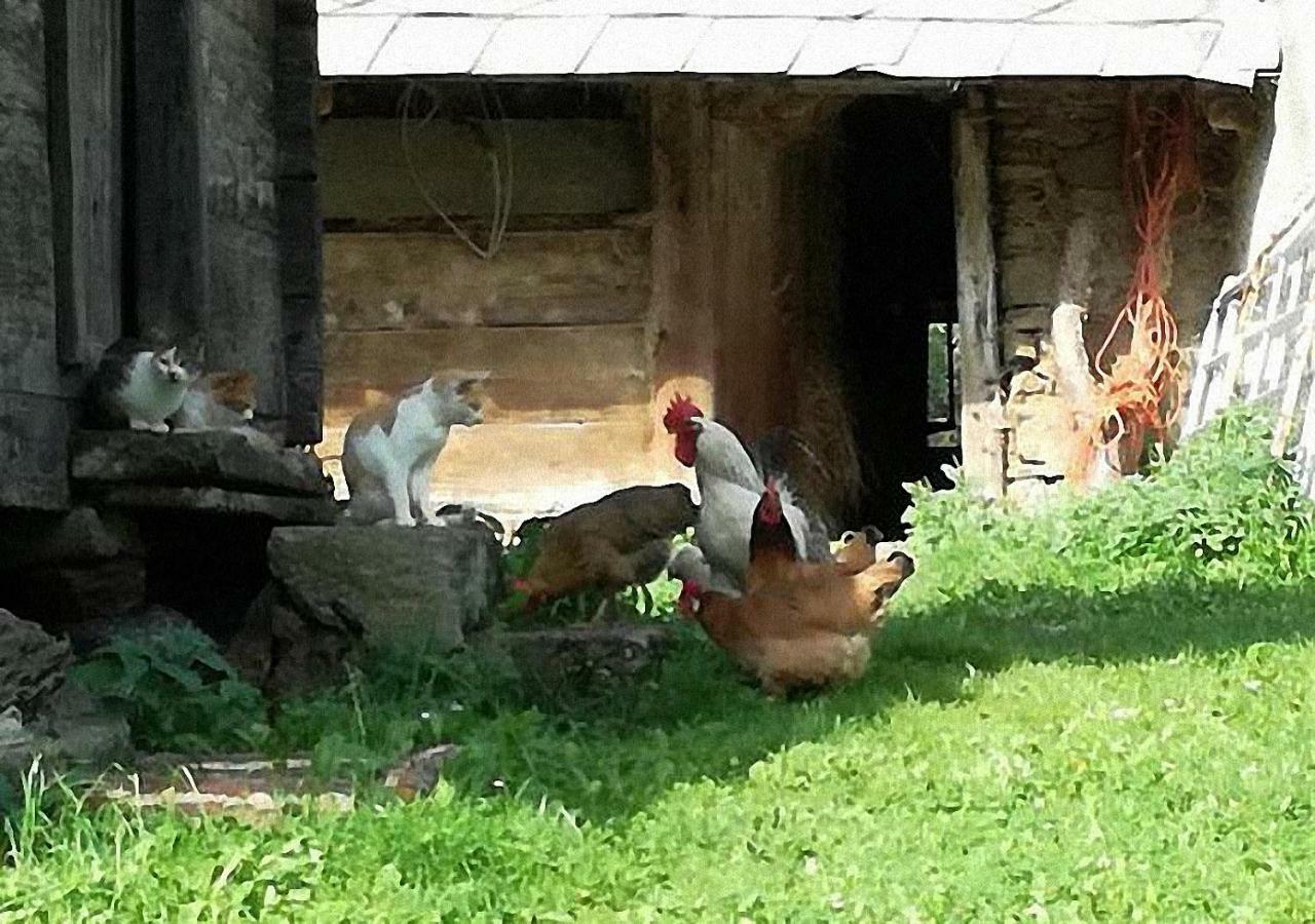 Bauernhof Hatzlhof Schöder Εξωτερικό φωτογραφία